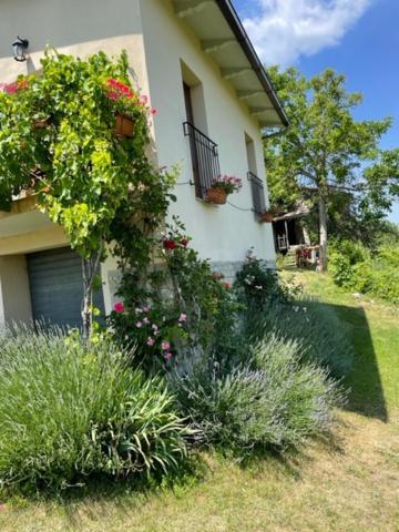 Casa Della Luna Badia Tedalda Exterior foto
